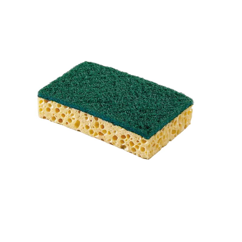 ÉPONGE GRAND FORMAT