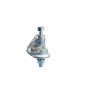 FIXATION IPN